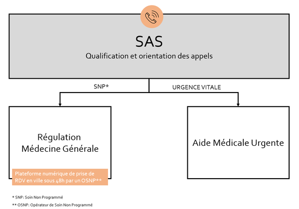 Sercices d'Accès aux Soins