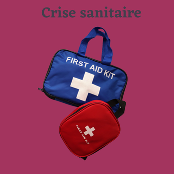 Proposer une organisation territoriale en cas de crise sanitaire