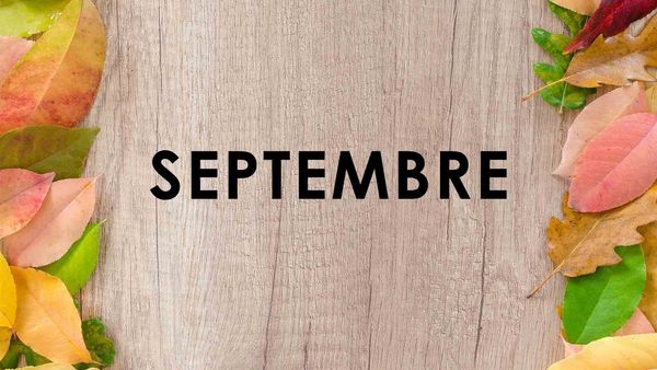 Newsletter Septembre 2025