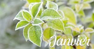 Newsletter Janvier 2026