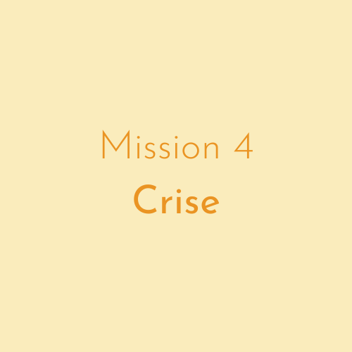 Mission 4 : Réponse aux crises sanitaires graves