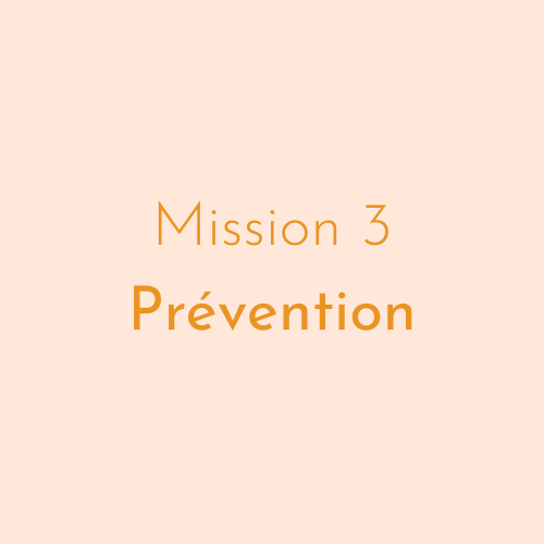 Mission 3 : Développement des actions territoriales de prévention