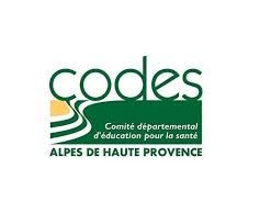 logo CODES 04
