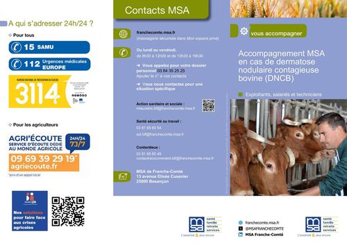 Dermatose nodulaire contagieuse des bovins Numéros utiles